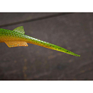 Купить Мягкая приманка Quantum fishing Pelagic Shad Set Pin 3460004 210мм 60г цвет Toxic River 7ft.ru в интернет магазине Семь Футов