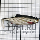 Купить Силиконовая мягкая приманка Westin Ricky The Roach Shadtail P013-551-010 100мм 14гр цвет Real Roach 7ft.ru в интернет магазине Семь Футов