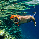 Купить Маска полнолицевая для подводного плавания OceanReef ARIA QR+ OR019014 S/M оранжевый с креплением для камеры 7ft.ru в интернет магазине Семь Футов