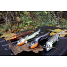 Купить Мягкая приманка Quantum fishing Pelagic Shad Set 3456103 250мм 70г цвет Tricky Day 7ft.ru в интернет магазине Семь Футов