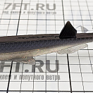 Купить Мягкая приманка Quantum fishing Pelagic Shad Set Hairy 3461003 210мм 60г цвет Tricky Day 7ft.ru в интернет магазине Семь Футов