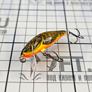 Купить Воблер Salmo Bullhead QBD002 45мм 3г заглубление 0,5-1м цвет Hot Bullhead 7ft.ru в интернет магазине Семь Футов