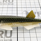 Купить Мягкая приманка Quantum fishing Pelagic Shad Set Pin 3460005 210мм 60г цвет Game Over 7ft.ru в интернет магазине Семь Футов
