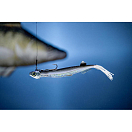 Купить Мягкая приманка Quantum fishing Pelagic Shad Set Hairy 3461003 210мм 60г цвет Tricky Day 7ft.ru в интернет магазине Семь Футов