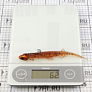 Купить Мягкая приманка Quantum fishing Pelagic Shad Set Pin 3460008 210мм 60г цвет Appleseed 7ft.ru в интернет магазине Семь Футов