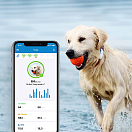 Купить Трекер для собак Tractive GPS 4 Technology LTE TRNJAWH 71x28x17мм водонепроницаемый c мониторингом активности 7ft.ru в интернет магазине Семь Футов