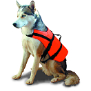 Купить Спасательный жилет для собак Lalizas 20022 15-40 кг объём груди 43-84 см 7ft.ru в интернет магазине Семь Футов