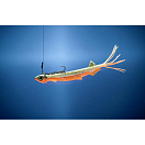 Купить Мягкая приманка Quantum fishing Pelagic Shad Set Hairy 3461006 210мм 60г цвет The Monk 7ft.ru в интернет магазине Семь Футов
