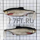 Купить Силиконовая мягкая приманка Westin Ricky The Roach Shadtail P013-551-010 100мм 14гр цвет Real Roach 7ft.ru в интернет магазине Семь Футов