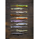 Купить Мягкая приманка Quantum fishing Pelagic Shad Set Pin 3460009 210мм 60г цвет Ghost 7ft.ru в интернет магазине Семь Футов