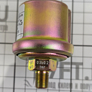 Купить Датчик давления масла KUS KE21100 6-24В 0-10бар 10-184Ом NPT1/8" 7ft.ru в интернет магазине Семь Футов