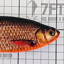 Купить Силиконовая мягкая приманка Westin Ricky The Roach Shadtail P013-552-136 180мм 85гр цвет Real Rudd 7ft.ru в интернет магазине Семь Футов