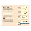 Купить Книга "50 Knots For Every Adventure" Allen Marty Nauticalia 4358 7ft.ru в интернет магазине Семь Футов
