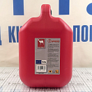 Купить Топливная канистра CAN-SB SE4507 375х265х145мм 10л из пластика 7ft.ru в интернет магазине Семь Футов