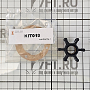 Купить Крыльчатка/импеллер со штифтом CEF 500121GX Ø39,6x19,2мм посадочное Ø12мм 6 лопастей из черного неопрена 4 профиль, Osculati 16.194.02 7ft.ru в интернет магазине Семь Футов