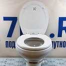 Купить Электрический туалет с мацератором и смывом пресной водой Dometic MasterFlush MF 7120 9108833970 12 В стандартная высота 7ft.ru в интернет магазине Семь Футов