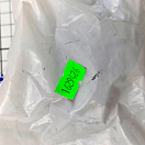 Купить Импеллер со шлицами CEF 500114.T Ø65x50,1мм вал Ø14,29/16мм 10 лопастей 20 профиль для помпы охлаждения двигателя из чёрного неопрена, Osculati 16.194.26 7ft.ru в интернет магазине Семь Футов