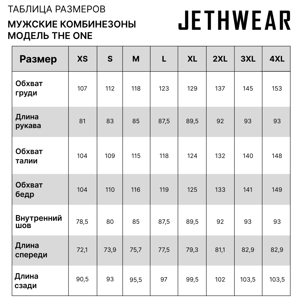 Купить Комбинезон Jethwear The One с утеплителем L OEM: J2431-225-L в интернет магазине Семь Футов