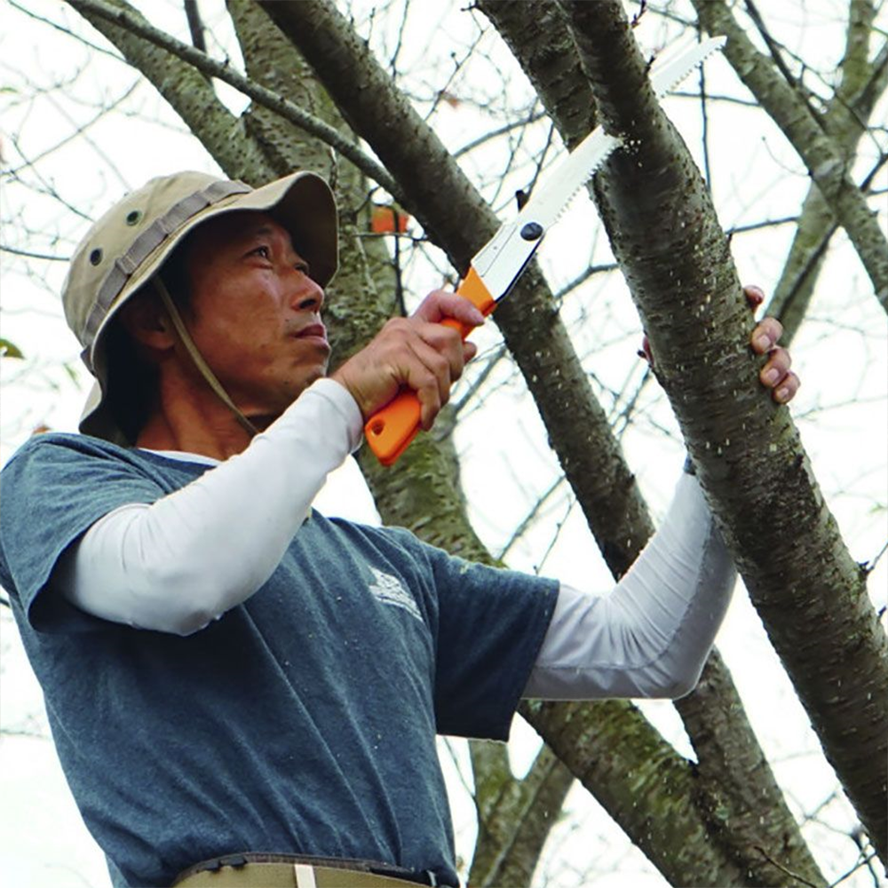 Купить Пила складная Silky Gomboy Curve 240mm 240mm OEM: SIL463-24 в интернет магазине Семь Футов