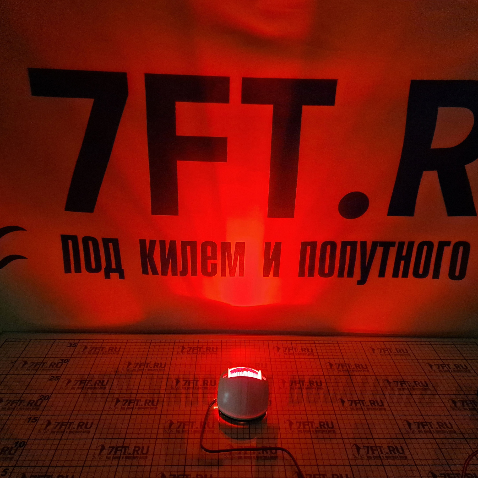 Купить Бортовой огонь TREM Stela Polare 12 L5774530 12В 112° для судов до 7-12м белый корпус красное стекло 7ft.ru в интернет магазине Семь Футов