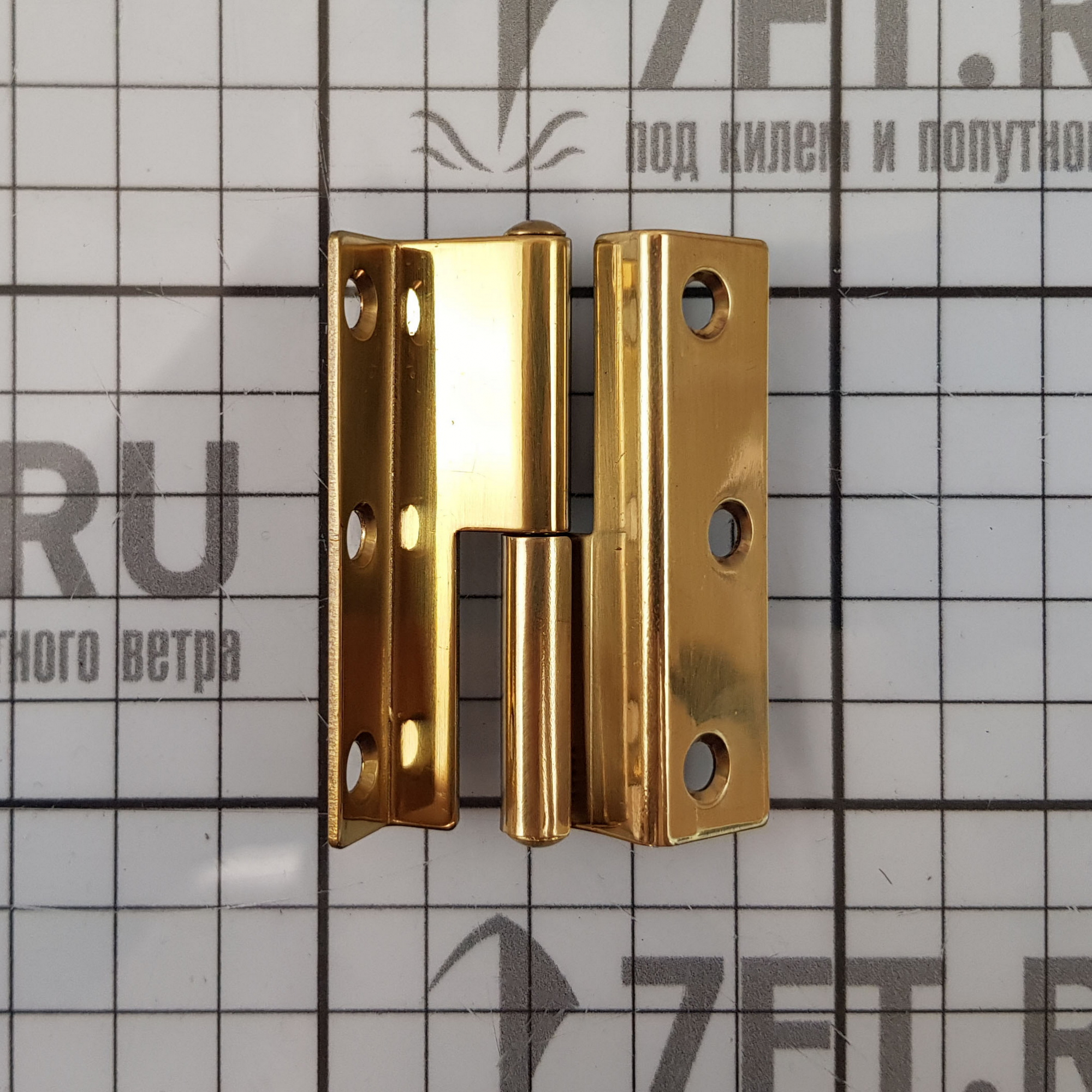 Купить Петля разъемная дверная из полированной латуни Roca 443365 55 x 35 мм правая 7ft.ru в интернет магазине Семь Футов