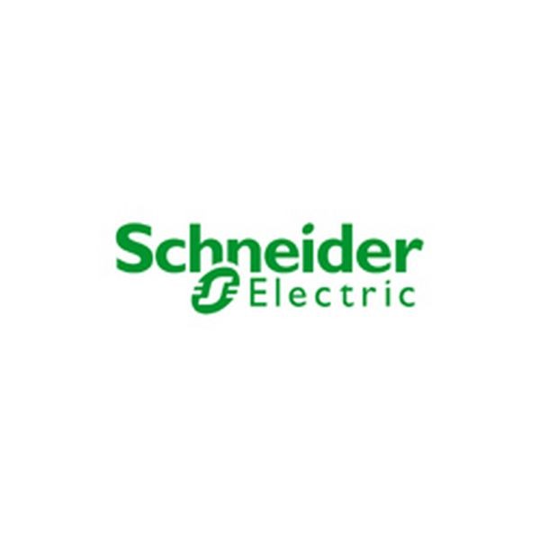 Купить Вилка защищённая Schneider Electric Selv 303106000 12/IP34 12 В 16 А 7ft.ru в интернет магазине Семь Футов