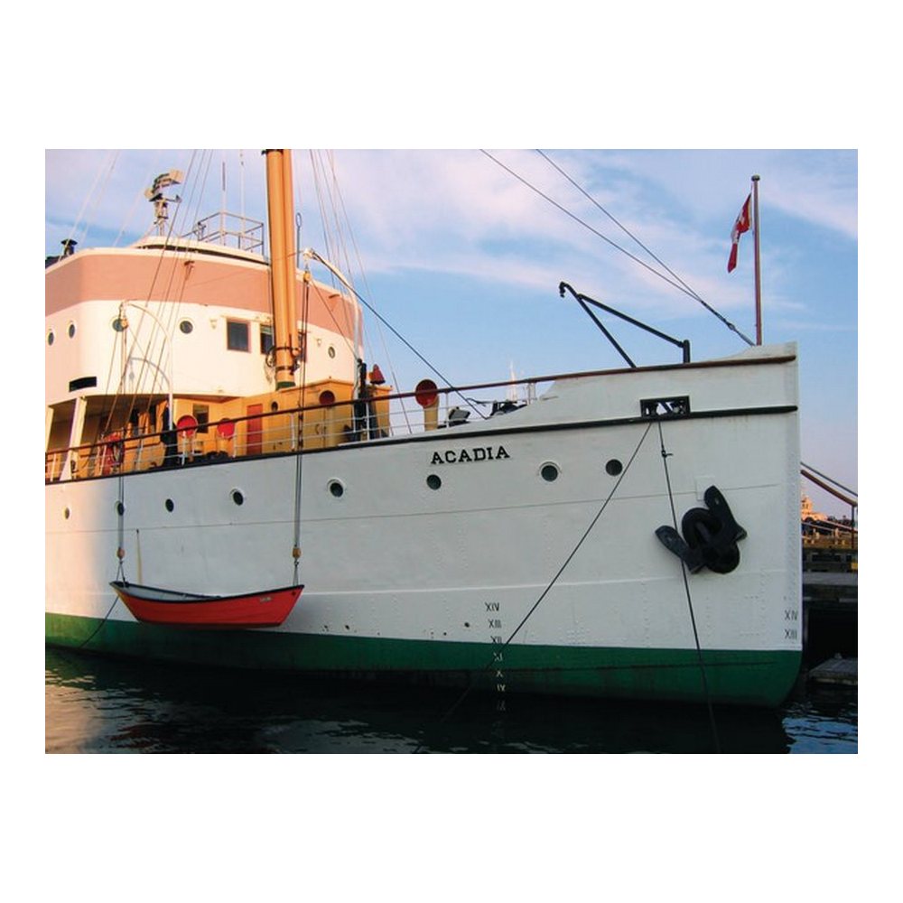 Купить Привальный брус из ПВХ Tessilmare Bino 65 130-115-005 65 x 37 мм 24 м 7ft.ru в интернет магазине Семь Футов