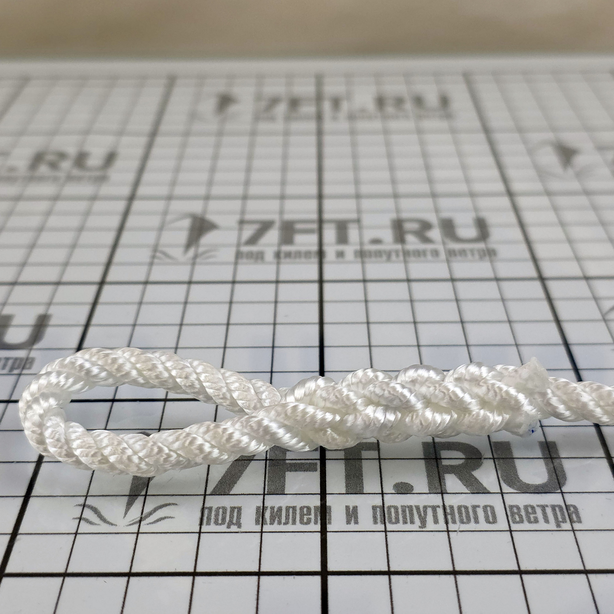 Купить Готовый конец для кранцев FSE Robline Twisted Fender Lines 7159322 6 мм 1,5 м белый 7ft.ru в интернет магазине Семь Футов