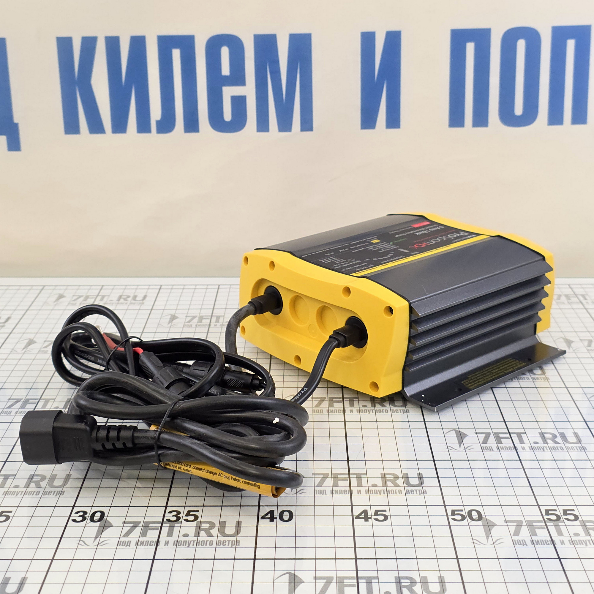 Купить Зарядное устройство ProMariner ProSport 6PFC 43023 12В 100-260В 6А IP67 на 1 АКБ 7ft.ru в интернет магазине Семь Футов
