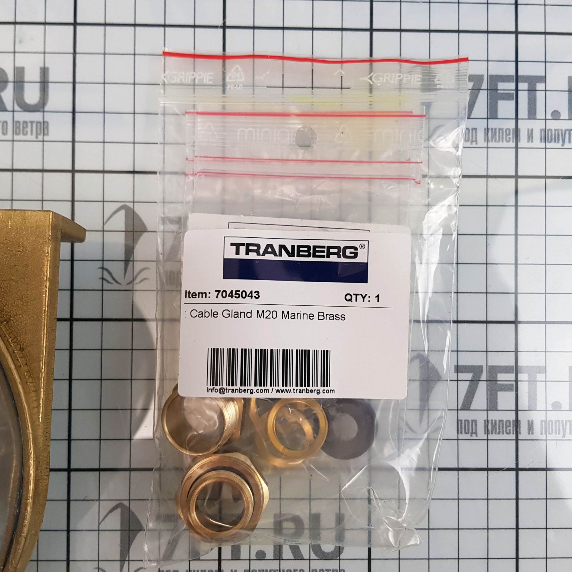 Купить Кормовой буксировочный огонь R.Stahl Tranberg TEF 2870 2870331 135° 24 В IP56 желтый 7ft.ru в интернет магазине Семь Футов
