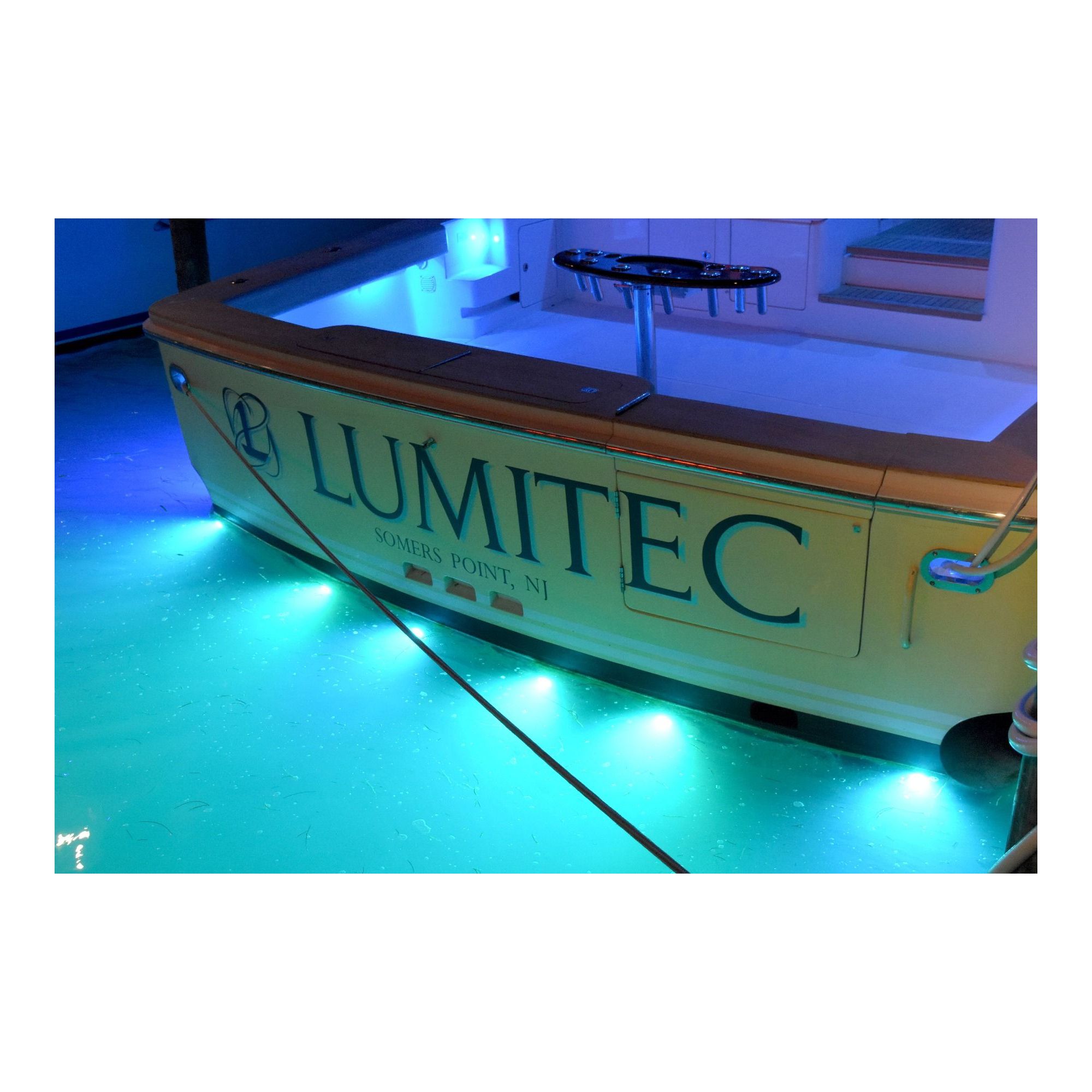 Купить Светодиодный подводный светильник Lumitec SeaBlazeX2 RGBW 101515 10-30В 2,5-5А 60Вт 6000лм 6500°К IP68 красный/зеленый/синий/белый свет бронзовый корпус 7ft.ru в интернет магазине Семь Футов