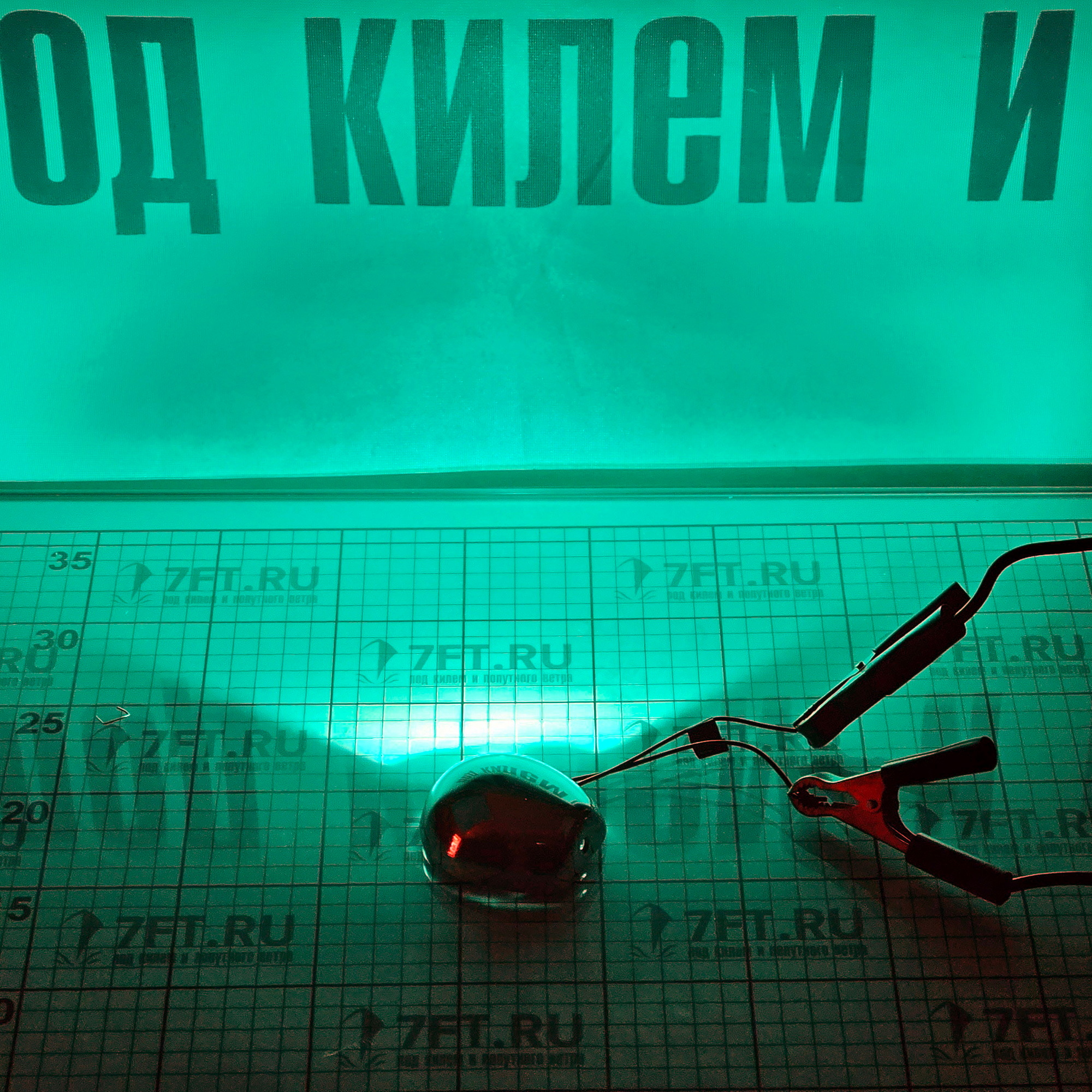 Купить Бортовой огонь светодиодный Sea-Dog 112,5° 12/24В зеленый свет из нержавеющей стали AISI316, AISI304 для судов до 20м, Osculati 11.051.02 7ft.ru в интернет магазине Семь Футов