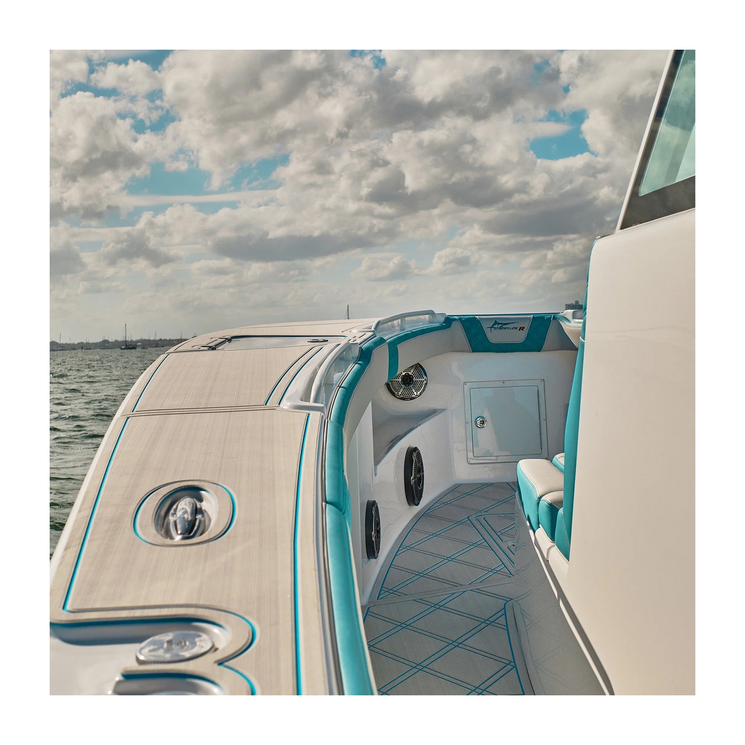 Купить Сабвуфер DS18 CF-10SUB Ø254мм 35–250Гц 300-600Вт 2-4Ом IP65 светодиодная RGB-подсветка глянцевый из углеродного волокна чёрного цвета 7ft.ru в интернет магазине Семь Футов