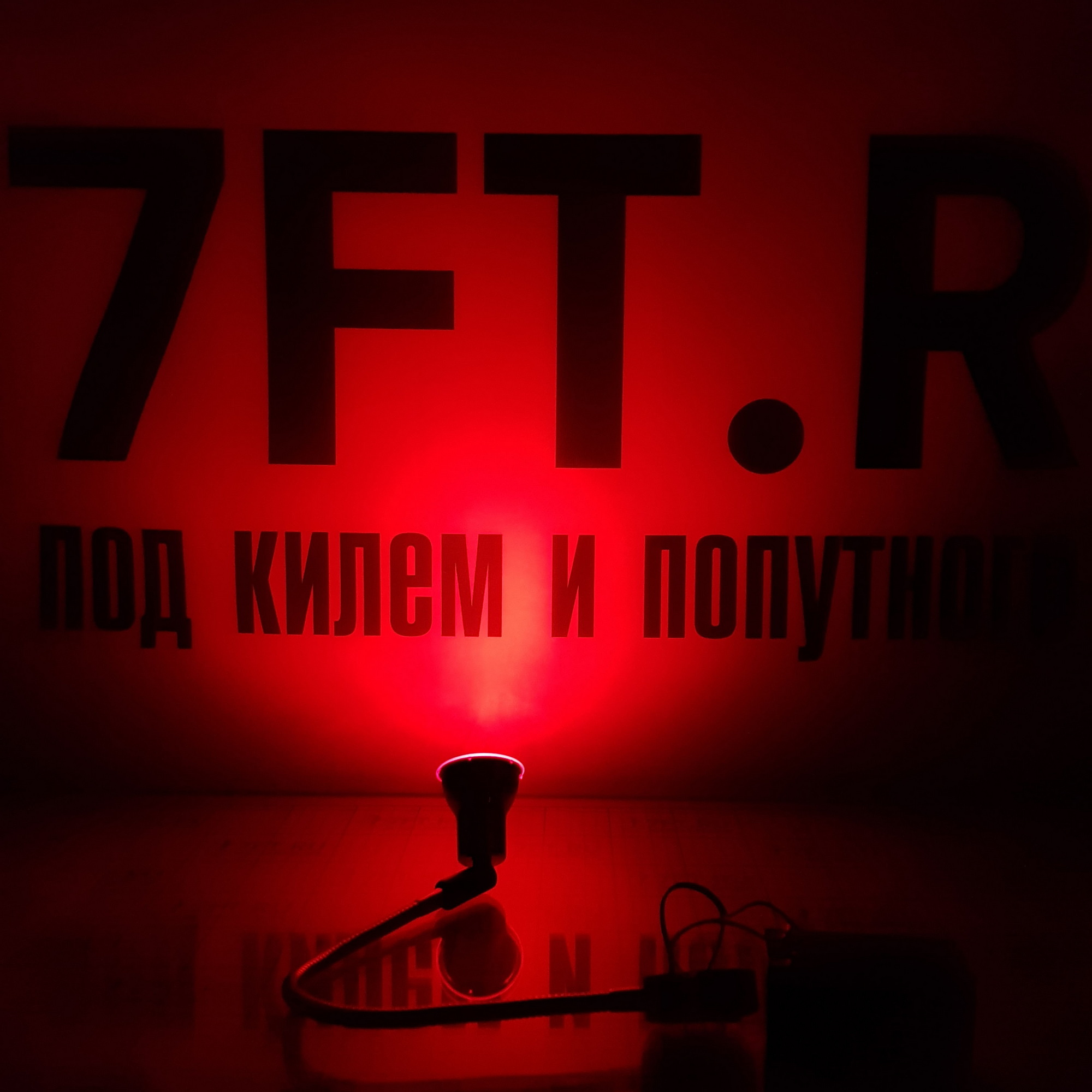 Купить Светильник штурманский галогеновый гибкий Batsystem Frilight Chart 8235C 300мм 12В 10Вт G4 красный свет в хромированном корпусе 7ft.ru в интернет магазине Семь Футов
