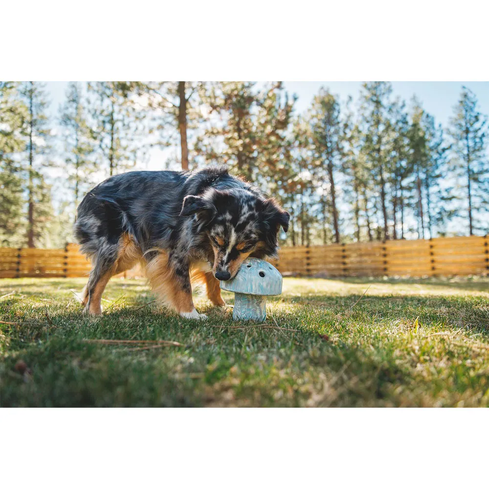 Купить Ruffwear 6095-060 прорезыватель Porchini™  Gray Sky 7ft.ru в интернет магазине Семь Футов