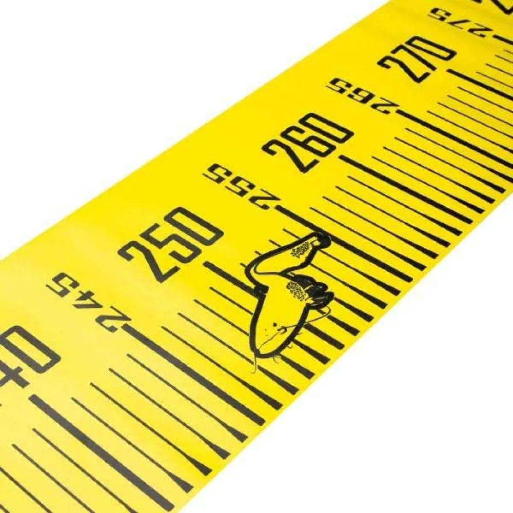 Купить Black cat BO100003 рулетка  Black / Yellow 7ft.ru в интернет магазине Семь Футов