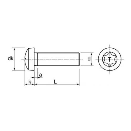 Купить Euromarine VIXVMTOC0420-25 ISO 14483 A4 M4x20 mm Винт Torx с цилиндрической головкой 25 единицы Серебристый Grey 7ft.ru в интернет магазине Семь Футов