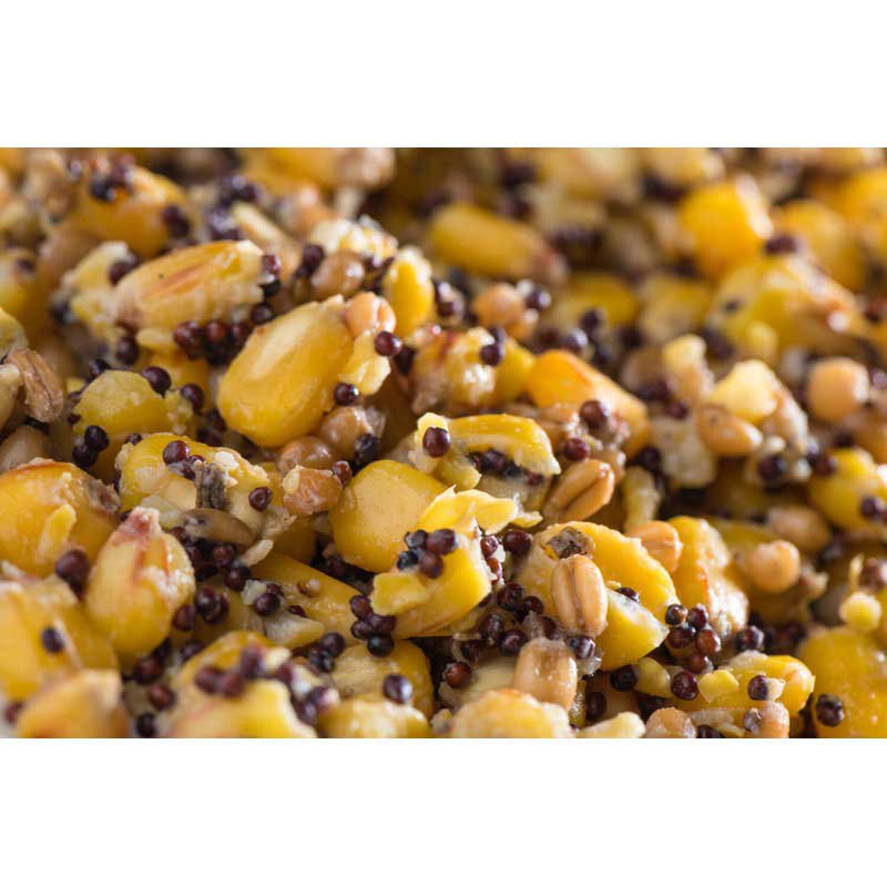 Купить Mivardi M-RAPAMIX25 прикормка Particle mix 2.5kg 7ft.ru в интернет магазине Семь Футов