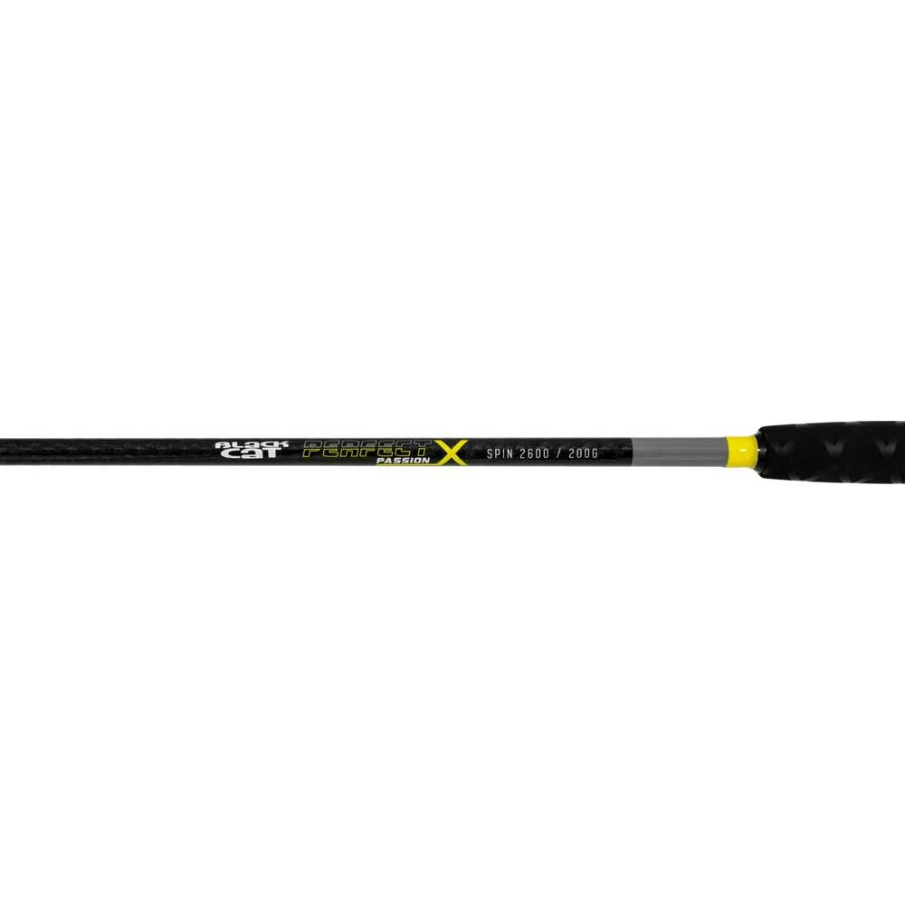 Купить Black cat bo140031 Удилище для сома Perfect Passion X Spin 160x8x8 2.60 m 7ft.ru в интернет магазине Семь Футов