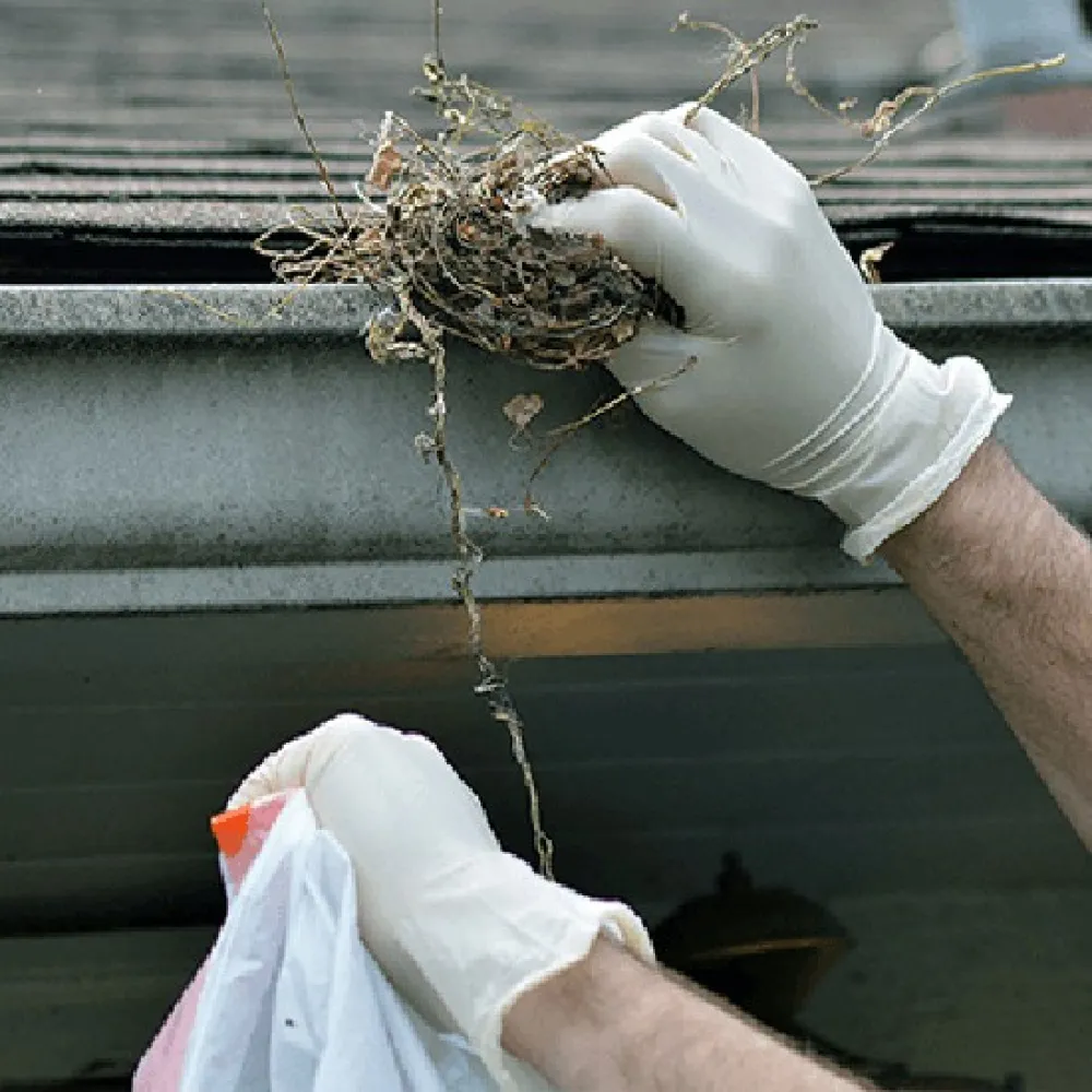 Купить Ammex gloves 674-tlf46100 Неопудренные перчатки Латекс White 26x23x23 7ft.ru в интернет магазине Семь Футов