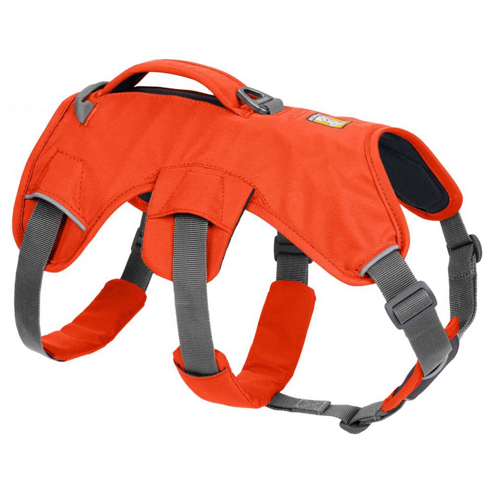 Купить Ruffwear 30103-850LL1 Web Master Обуздать Оранжевый Blaze Orange L-XL 7ft.ru в интернет магазине Семь Футов