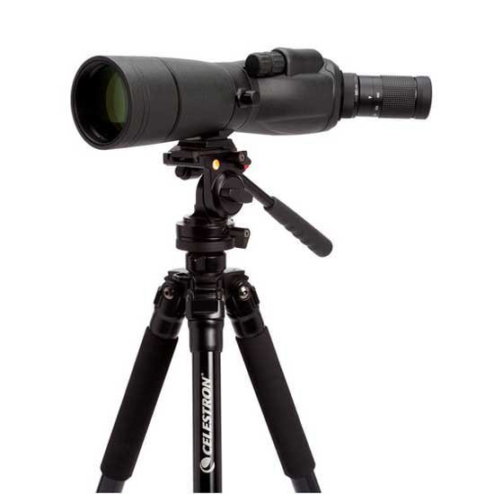 Купить Celestron C52330 Spotting Scope TrailSeeker 65 45º Телескоп  Black 7ft.ru в интернет магазине Семь Футов