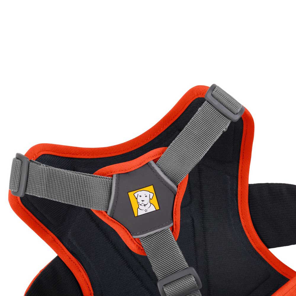 Купить Ruffwear 30103-850LL1 Web Master Обуздать Оранжевый Blaze Orange L-XL 7ft.ru в интернет магазине Семь Футов