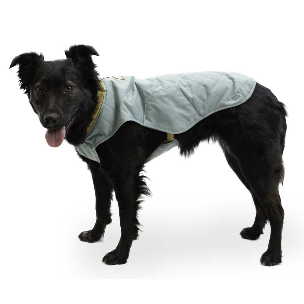 Купить Ruffwear 0595-355L Stumptown™ флис Зеленый  River Rock Green L 7ft.ru в интернет магазине Семь Футов