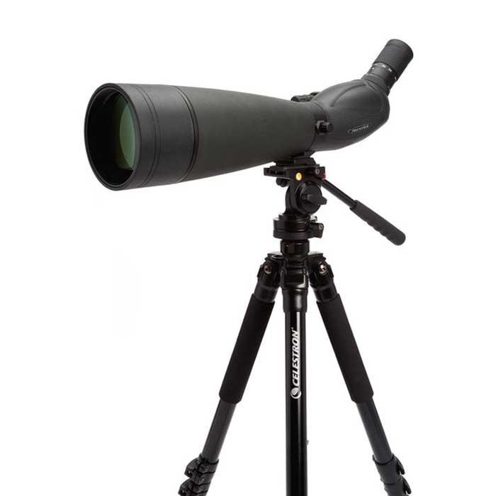 Купить Celestron C52334 Spotting Scope TrailSeeker 100 45º Телескоп  Black 7ft.ru в интернет магазине Семь Футов