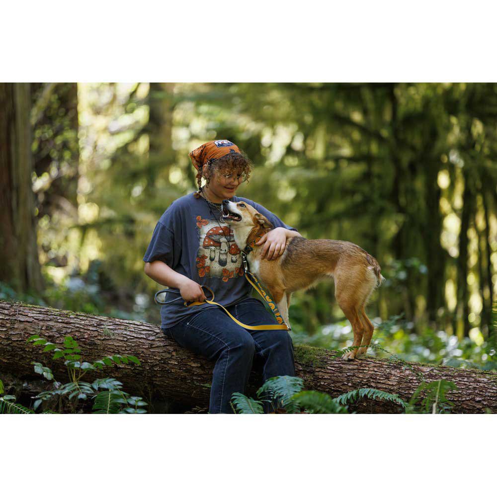 Купить Ruffwear 25802-9722026 Crag™ Воротник  Canyon Oxbow 20-26 cm 7ft.ru в интернет магазине Семь Футов