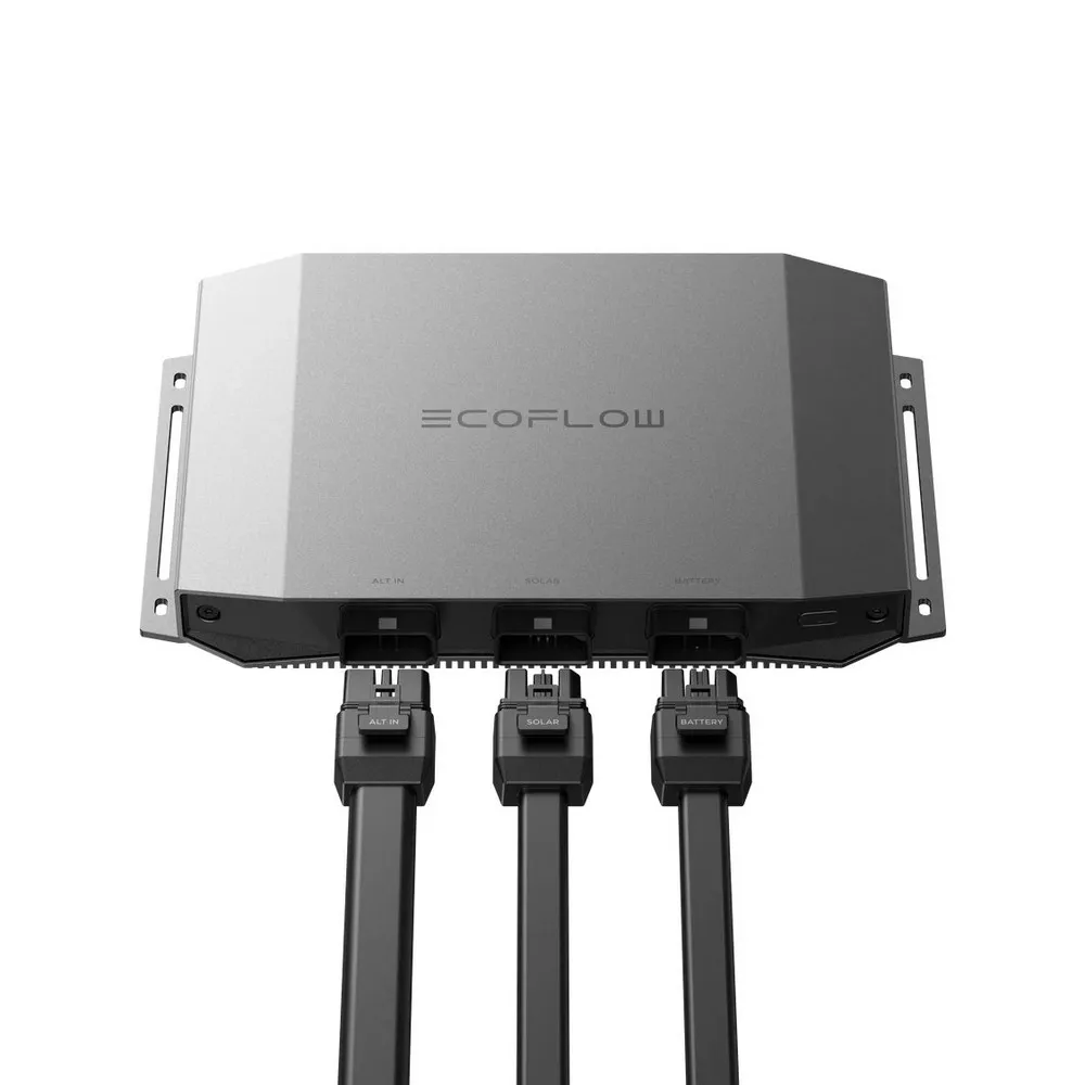 Купить Ecoflow ecf0076 зарядное устройство для аккумуляторов  Black 30x20x12 7ft.ru в интернет магазине Семь Футов