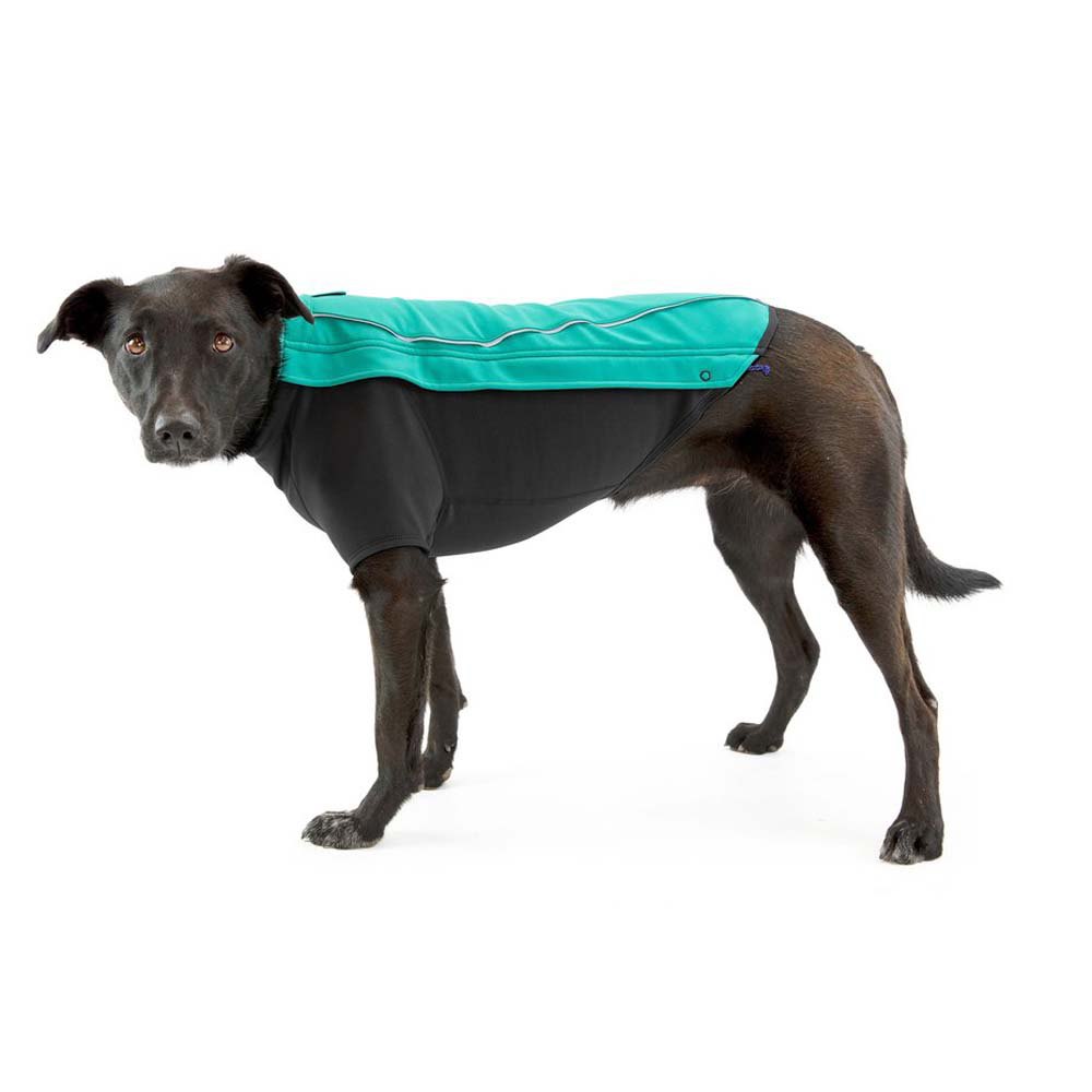 Купить Ruffwear 05104-421S2 Cloud Chaser Куртка для собак Серый Aurora Teal 2XS 7ft.ru в интернет магазине Семь Футов