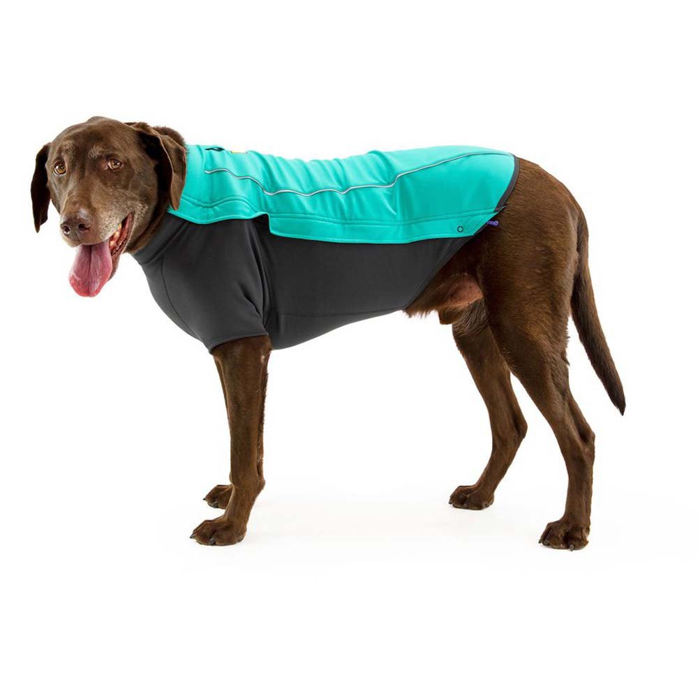 Купить Ruffwear 05104-421S2 Cloud Chaser Куртка для собак Серый Aurora Teal 2XS 7ft.ru в интернет магазине Семь Футов