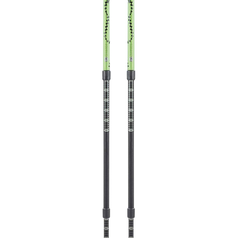 Купить Ferrino 78132EVV Totem Поляки Зеленый  Black / Green 65-135 cm 7ft.ru в интернет магазине Семь Футов